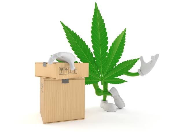 Cannabis Box 1