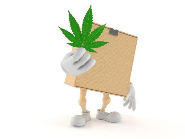 Cannabis