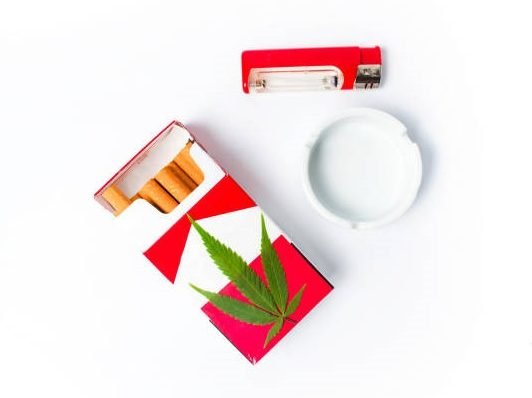 istockphoto 1242220769 612x612 1 e1722409894205